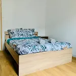 Gare Classe 3 Апартаменты Коньяк